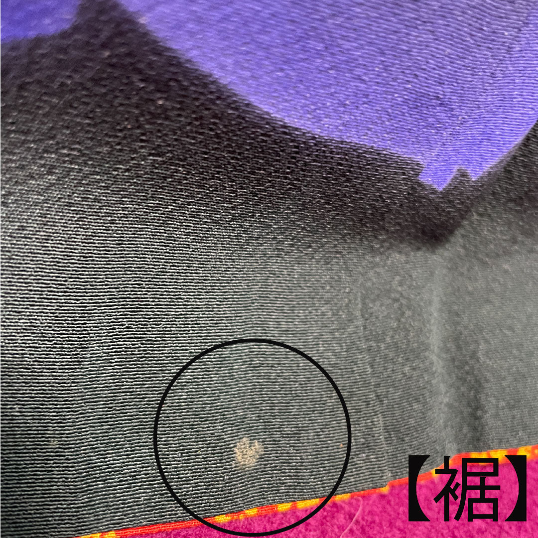 振袖 身丈165cm 裄丈70cm 袷  鉄色 京友禅 花模様  正絹 Aランク 緑系 1113001563519