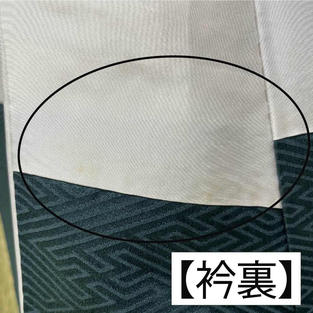 訪問着 正絹 Bランク 袷 身丈160.5cm 裄丈65.5cm 硫黄色（いおういろ） 総絞り 草花 緑系 1112007444419