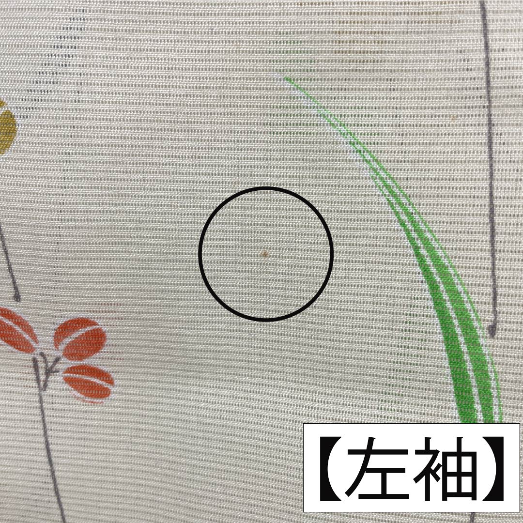夏物 ポリエステル 小紋 Aランク 身丈163.5cm 裄丈64cm 白百合色（しらゆりいろ） 草花模様 絽 黄系 1132004513423