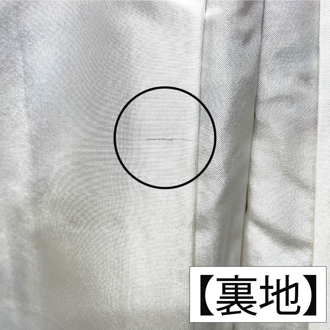 Homongi Silk S-rank Awase Length 156.5cm Sleeve-to-sleeve 63.5cm Neri-iro Kyo-Yuzen Horizontal stripes Classic pattern Cream 1112007712315
