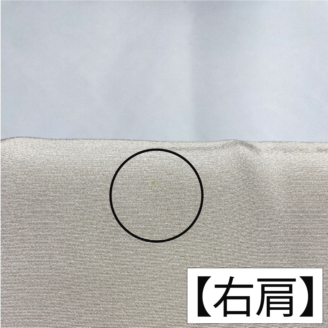 Colored Tomesode, pure silk, length 163cm, sleeve length 64cm, lined, white neri-iro (white paste color), Kyoto Yuzen embroidery, historical figures and landscape pattern, one crest, three oak leaves, pearl tone finish, A rank, beige, 1111001493425