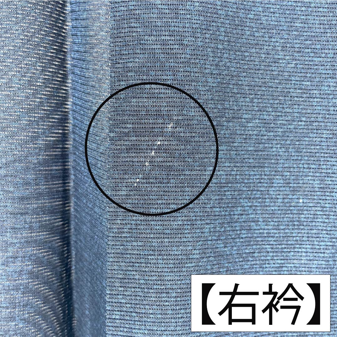 夏物 正絹 付下げ Aランク 身丈163.5cm 裄丈67.5cm 紺色（こんいろ） 型染 幾何学模様 健勝苑ガード 絽 紺系 1132005033418