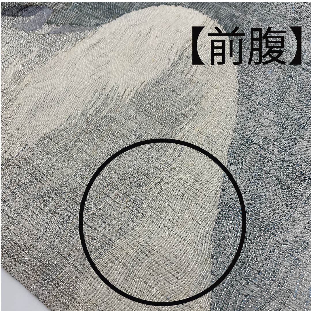 袋帯 銀白色色（ぎんはくしょくいろ） 夏帯 抽象模様 夏物 帯丈430cm 正絹 Bランク ポイント柄 カジュアル グラデーション系 1123007764399