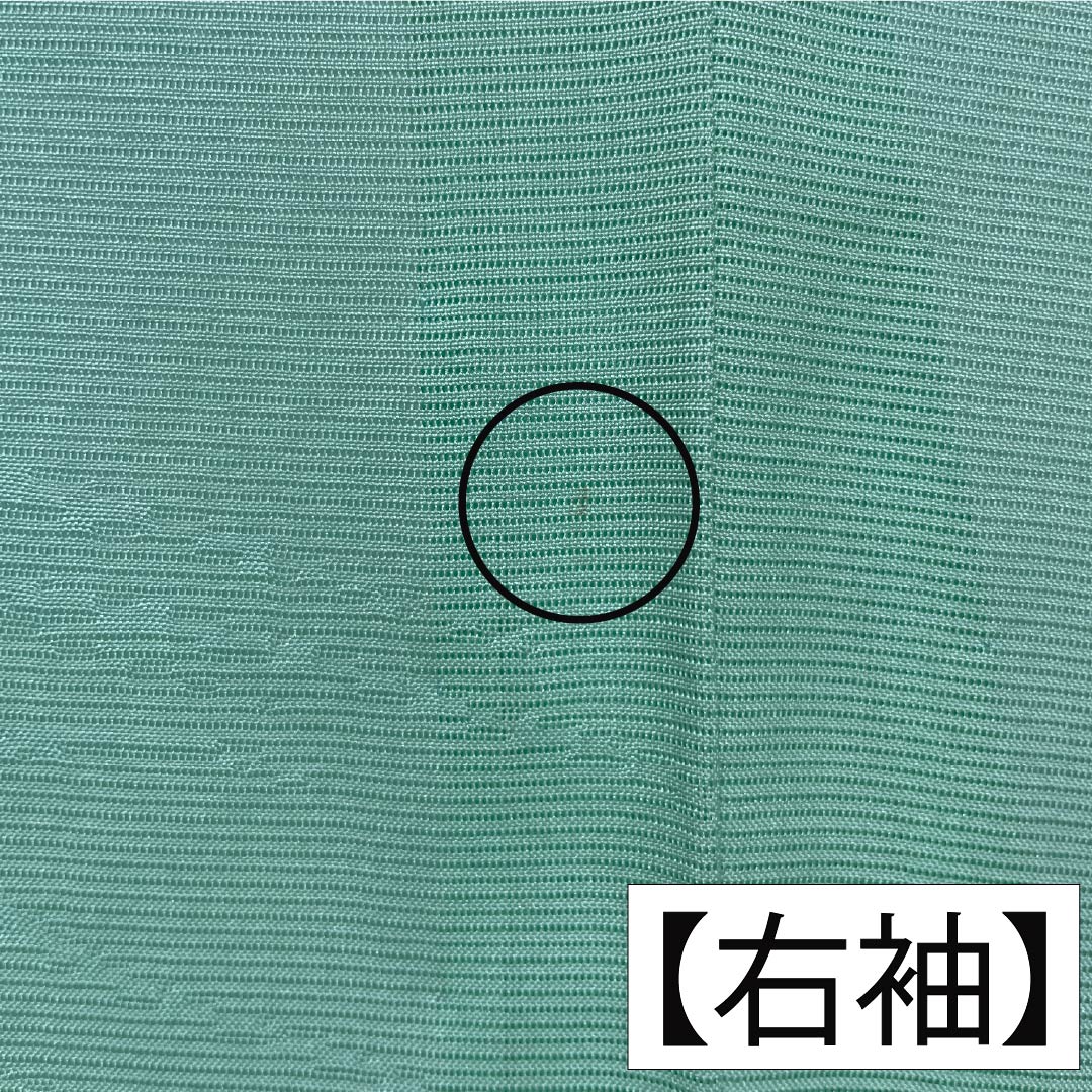 夏物 正絹 色無地 Aランク 身丈155.5cm 裄丈64cm 薄緑色（うすみどりいろ） 素無地 一つ紋 上り藤に一文字 絽 緑系 1132004743319