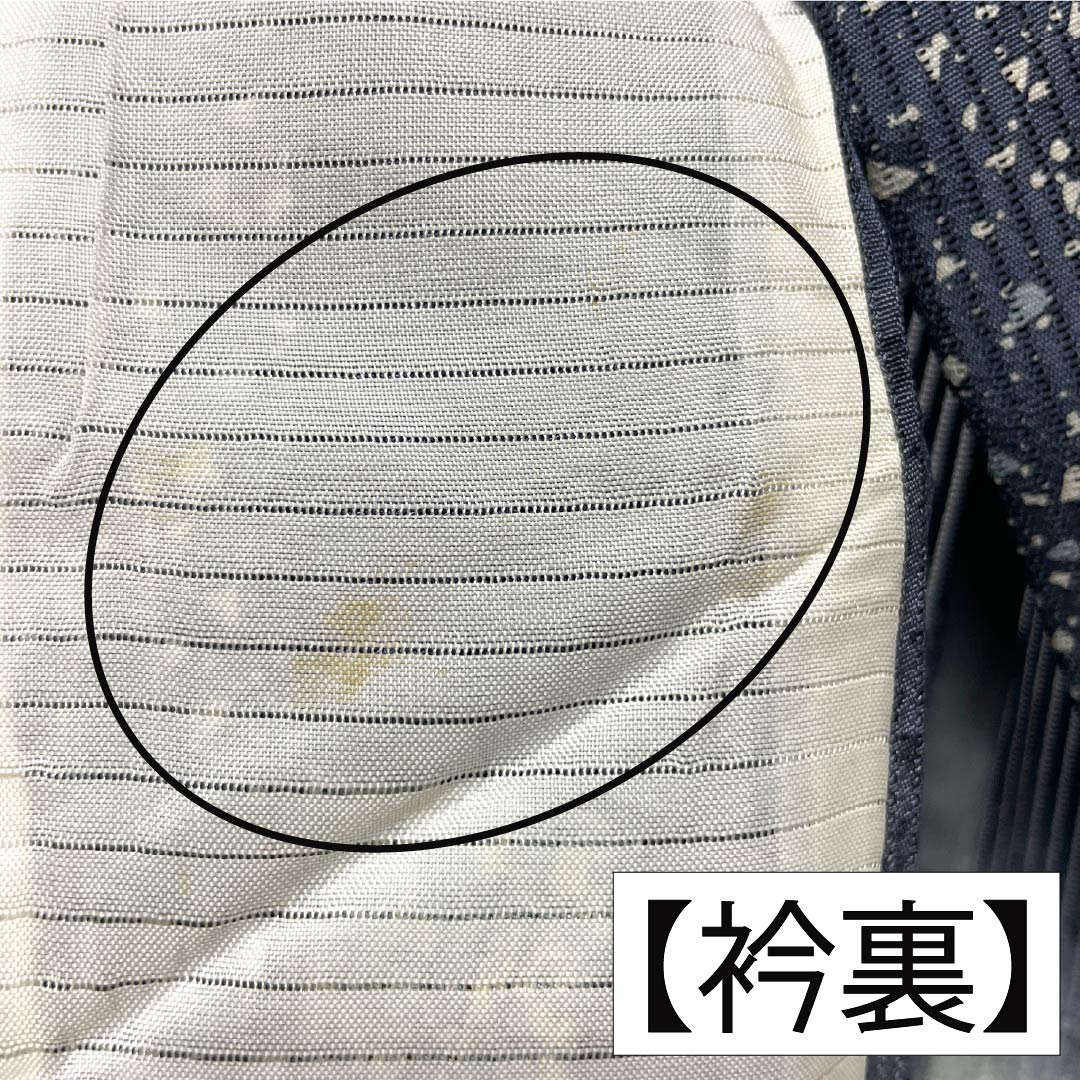 夏物 正絹 訪問着 Aランク 身丈161.5cm 裄丈66cm 浅葱鼠色（あさぎねずいろ） 竪絽 江戸小紋 タタキ染 絽 青系 1132005043417