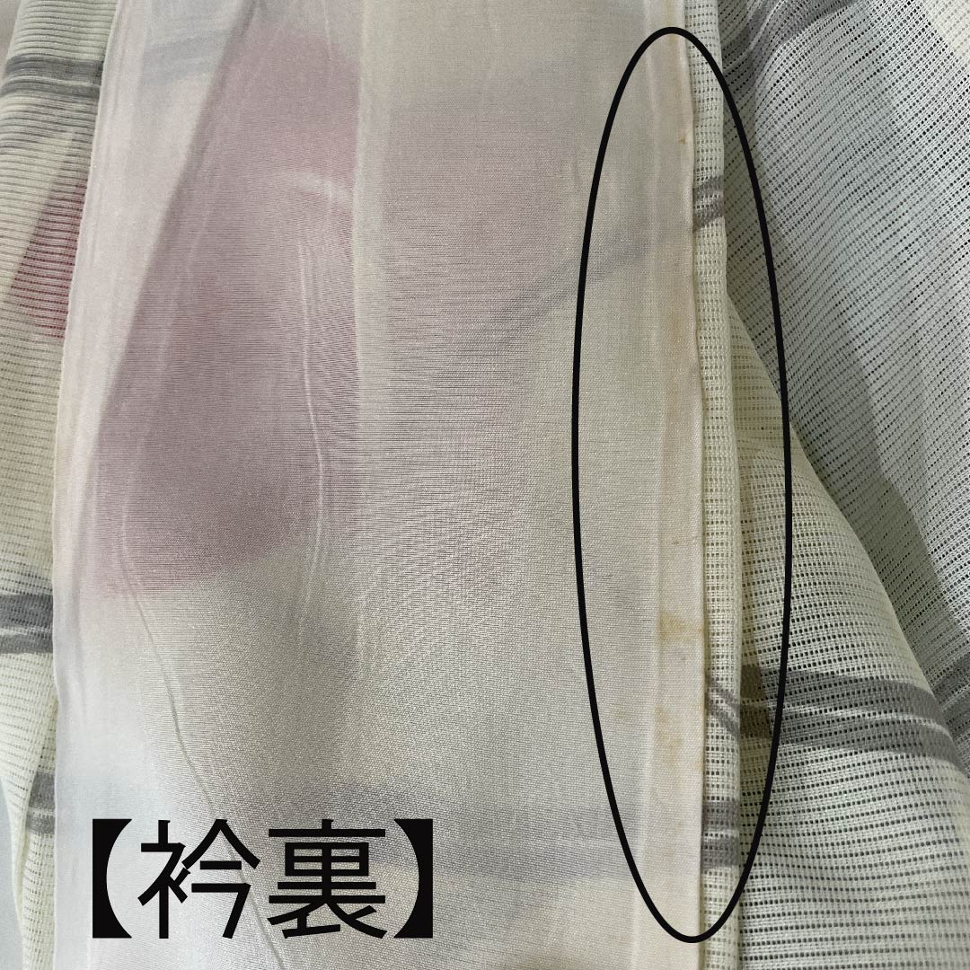 夏物 ポリエステル 訪問着 身丈160cm 裄丈65cm 白百合色（しらゆりいろ）露芝 花模様 絽 Aランク クリーム系 1132000083415