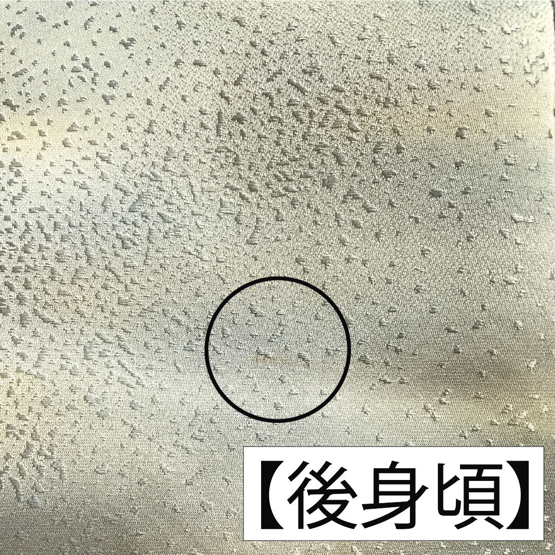 色無地 正絹 身丈159.5cm 裄丈64.5cm  ぼかし染 一つ紋 沢瀉 袷 Sランク グラデーション系 1114001332399