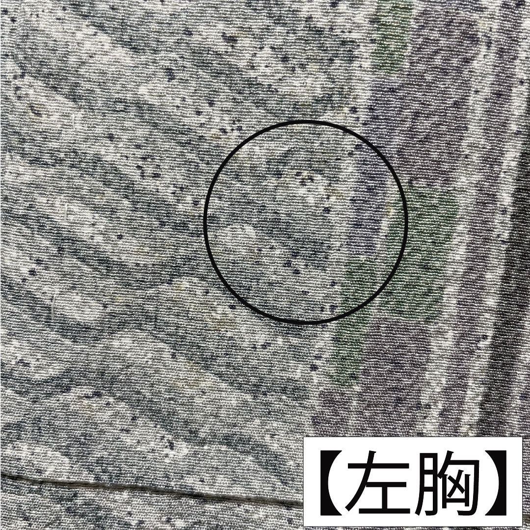 小紋 正絹 身丈151.5cm 裄丈62.5cm 袷 雲井鼠色（くもいねずいろ） 町家風景 幾何学模様 Aランク グレー系 1115004223222