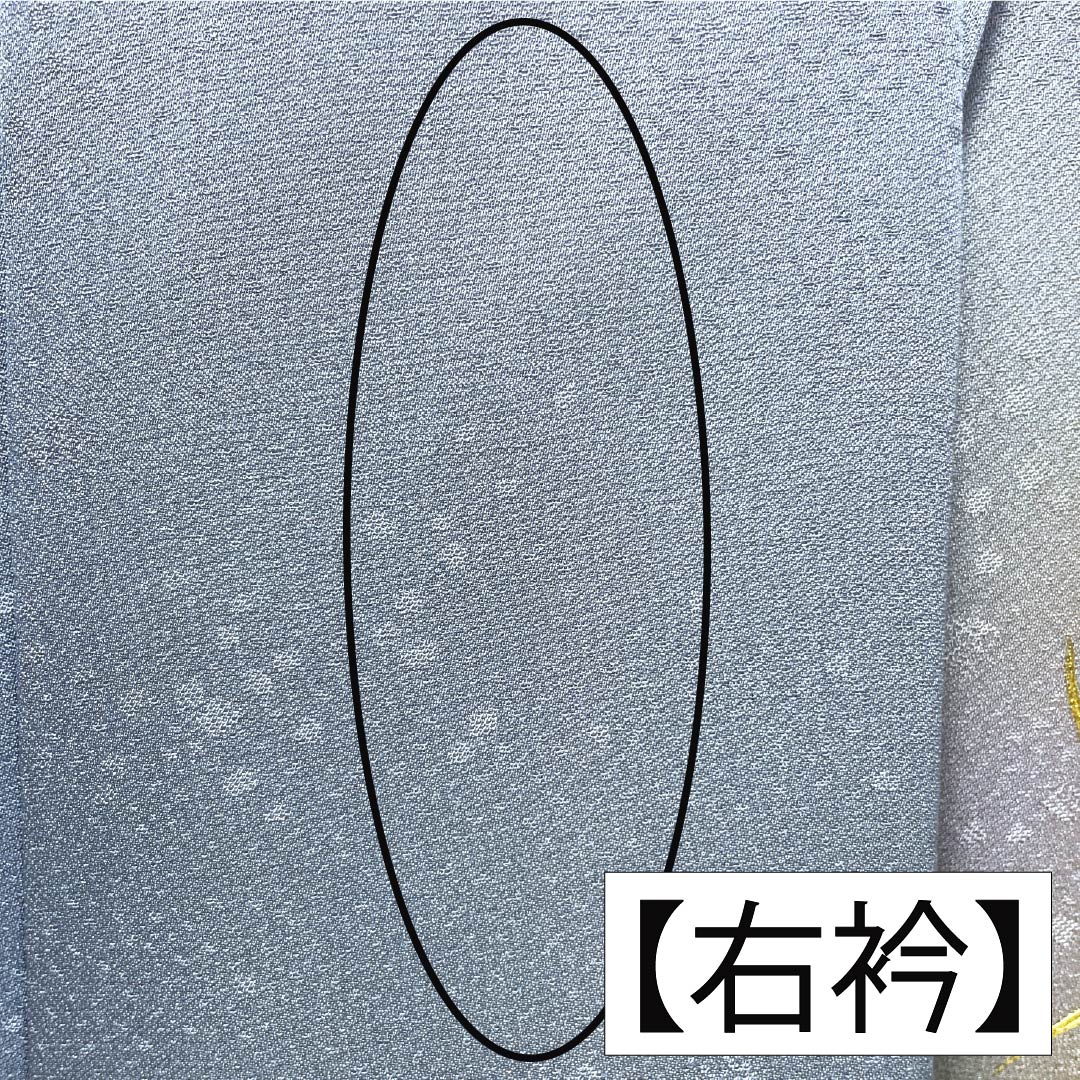 訪問着 正絹 Bランク 袷 身丈164.5cm 裄丈64cm 勿忘草色（わすれなぐさいろ） 付下げ 和田光正 金彩友禅 流水 草木 青系 1112007784417