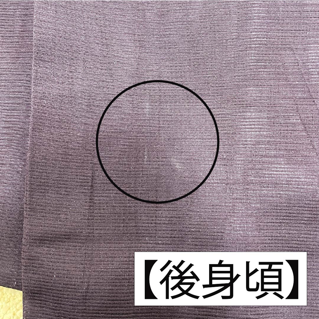 夏物 ポリエステル 色無地 Bランク 身丈156cm 裄丈62cm 二人静色（ふたりしずかいろ） 居敷当て付き 洗える着物 絽 紫系 1132003004320