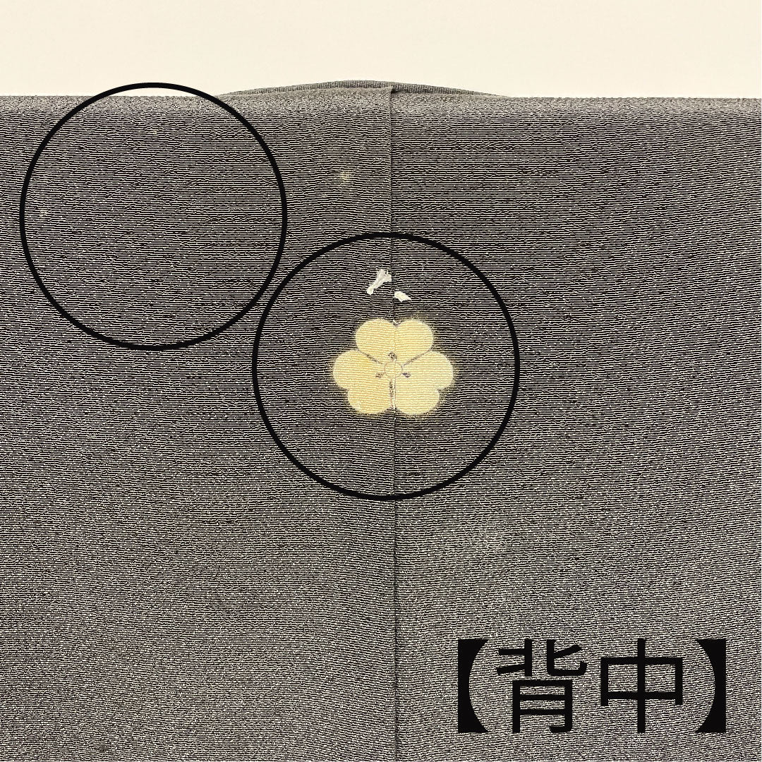 Black Tomesode, Length 155.5cm, Sleeve Length 61.5cm, Awase, Kyo-Yuzen, Crane, Katabami, Pure Silk, B Rank, Five Crests, Black, 1111000344310