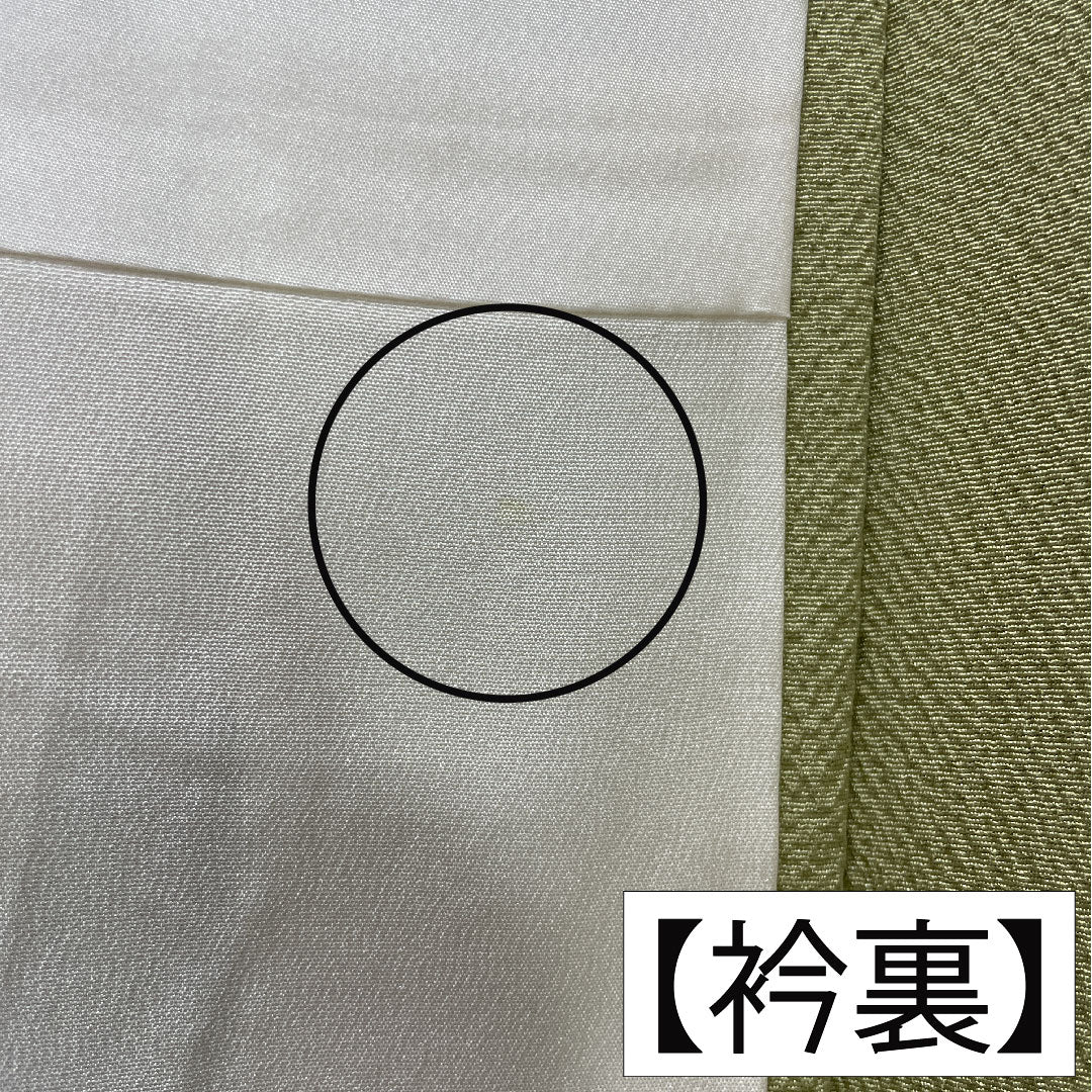 訪問着 正絹 袷 身丈162cm 裄丈62.5cm 薄柳色（うすやなぎいろ） 辻ヶ花 ちりめん地 重ね衿付き しつけ糸付き Sランク 緑系 1112005202419