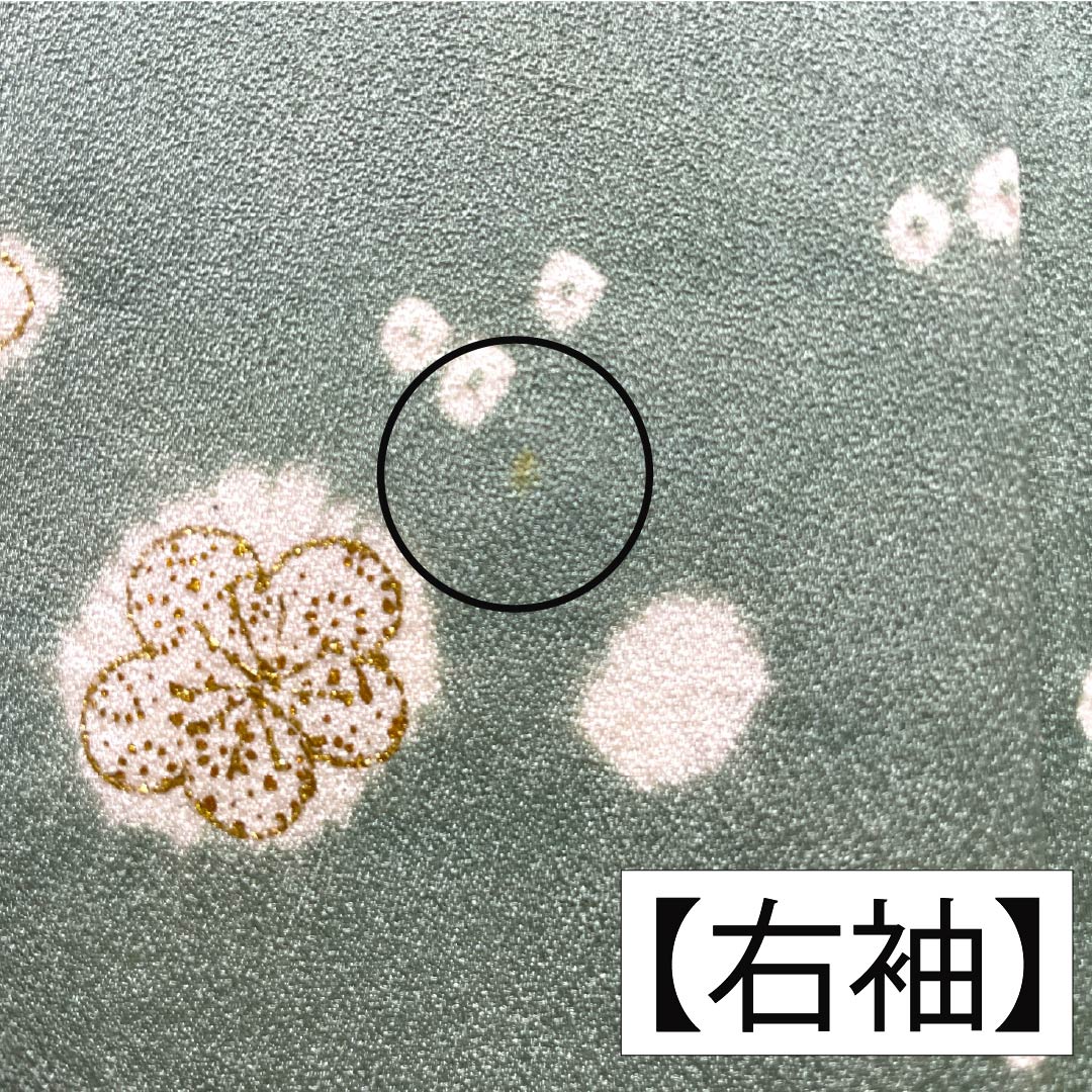 訪問着 正絹 Aランク 袷 身丈158.5cm 裄丈63cm 青磁色（せいじいろ） 一つ紋 金駒刺繍 絞り 重ね衿付き 梅 緑系 1112007333319