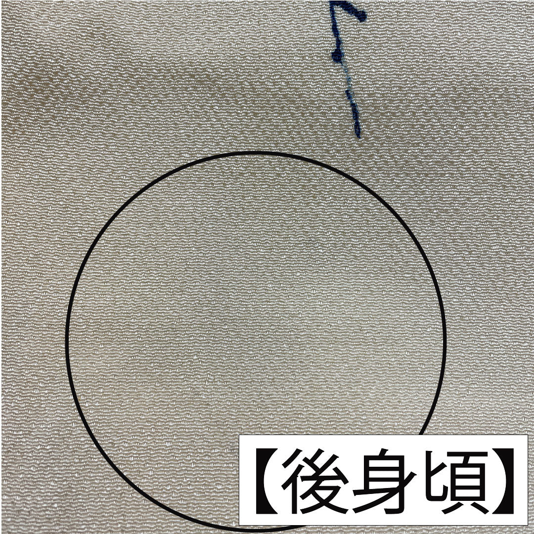 訪問着 正絹 袷 身丈158.5cm 裄丈65cm 密陀僧色（みつだそういろ） 京紅型 紅葉 鳥 Aランク クリーム系 1112005943315