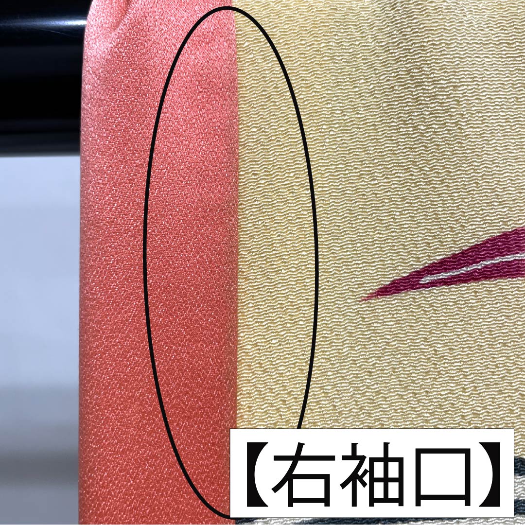 振袖 正絹 Aランク 身丈161cm 裄丈62.5cm 袷 薄柑子色（うすこうじいろ） 京紅型 牡丹 藤 ちりめん地 橙系 1113002403426