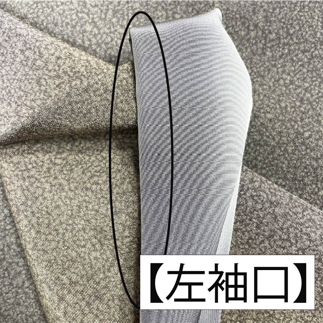 Komon (small pattern) silk, A-rank, length 159cm, sleeve length 67cm, lined, Tenmoku dyed, Roman Guard, gradient pattern, 1115006793399