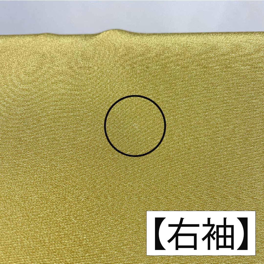 訪問着 正絹 Sランク 袷 身丈149.5cm 裄丈63cm 卵色（たまごいろ） 加賀友禅 手描き 峰山 作家物 草花 黄系 1112007262123