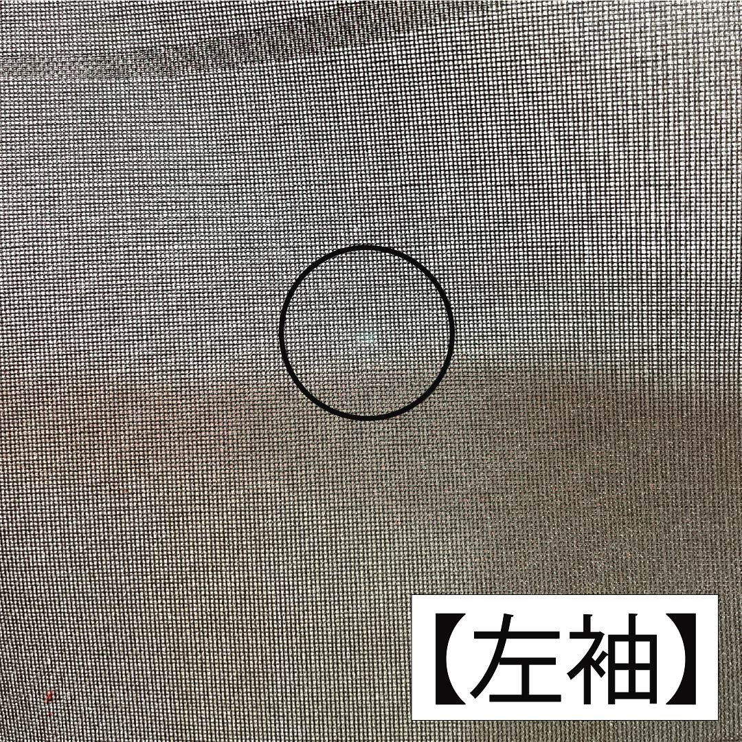 夏物 正絹 お召 Bランク 身丈155.5cm 裄丈62.5cm 暗紅色（あんこうしょく） 露芝 草花模様 紗 赤系 1132004264312