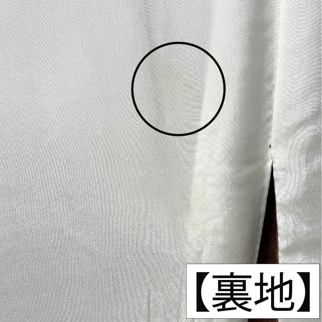 Homongi, pure silk, lined, length 154.5cm, sleeve length 62.5cm, sparrow color, Kyo-Yuzen, Tsujigahana, A rank, brown, 1112005273214