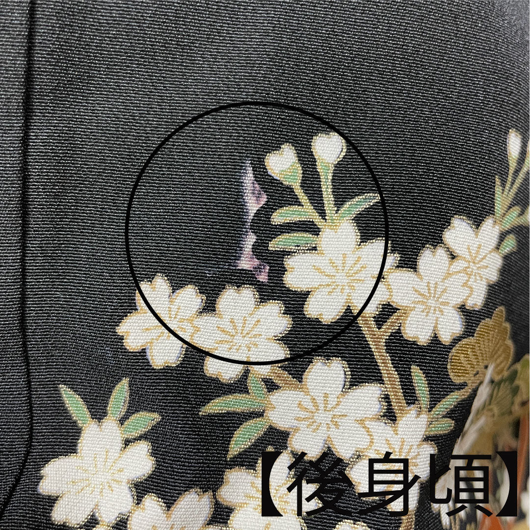 Black formal kimono, length 163.5cm, sleeve length 62.5cm, lined, Kyoto Yuzen, auspicious motif, circle with iris, pure silk, A rank, five crests, black, 1111000633410