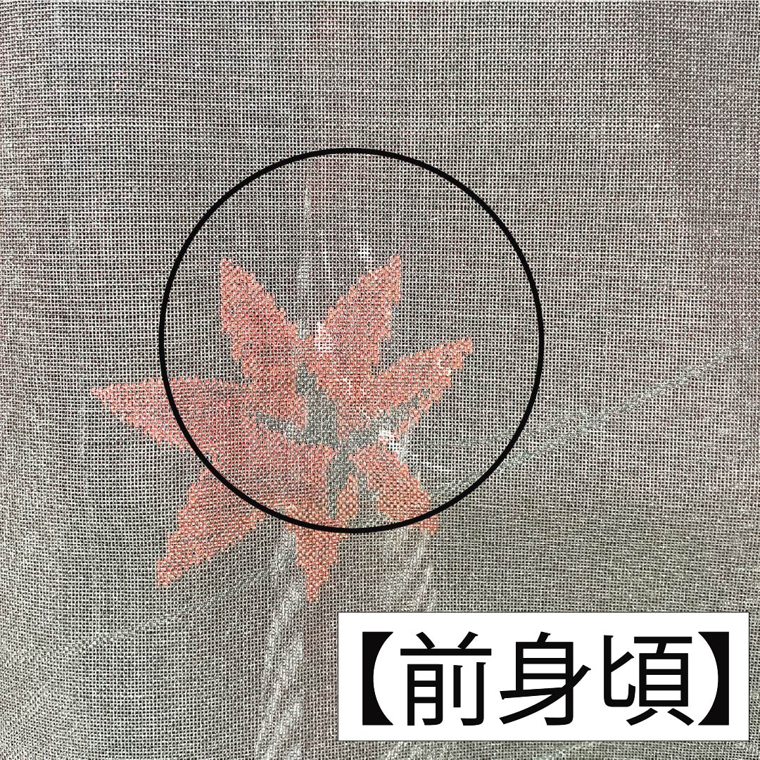 夏物 正絹 お召 Aランク 身丈160cm 裄丈63.5cm 暗紅色（あんこうしょく） 紋紗 紅葉 紗 赤系 1132004373412