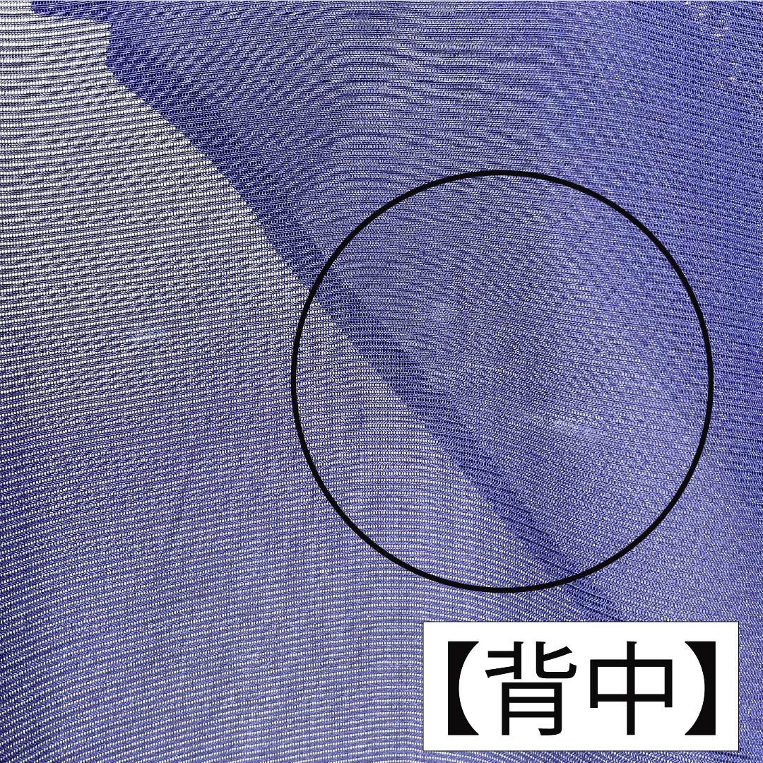 夏物 正絹 訪問着 Aランク 身丈158.5cm 裄丈62.5cm 濃桔梗色（こいききょういろ） 付下げ 秋草模様 蛍 絽 紺系 1132004703318