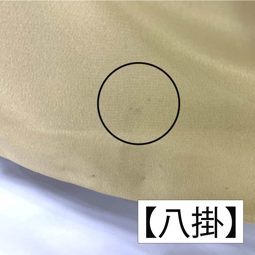 色無地 正絹 Aランク 身丈162cm 裄丈64cm 枯野色（かれのいろ） 綸子 菊 袷 ベージュ系 1114002253425