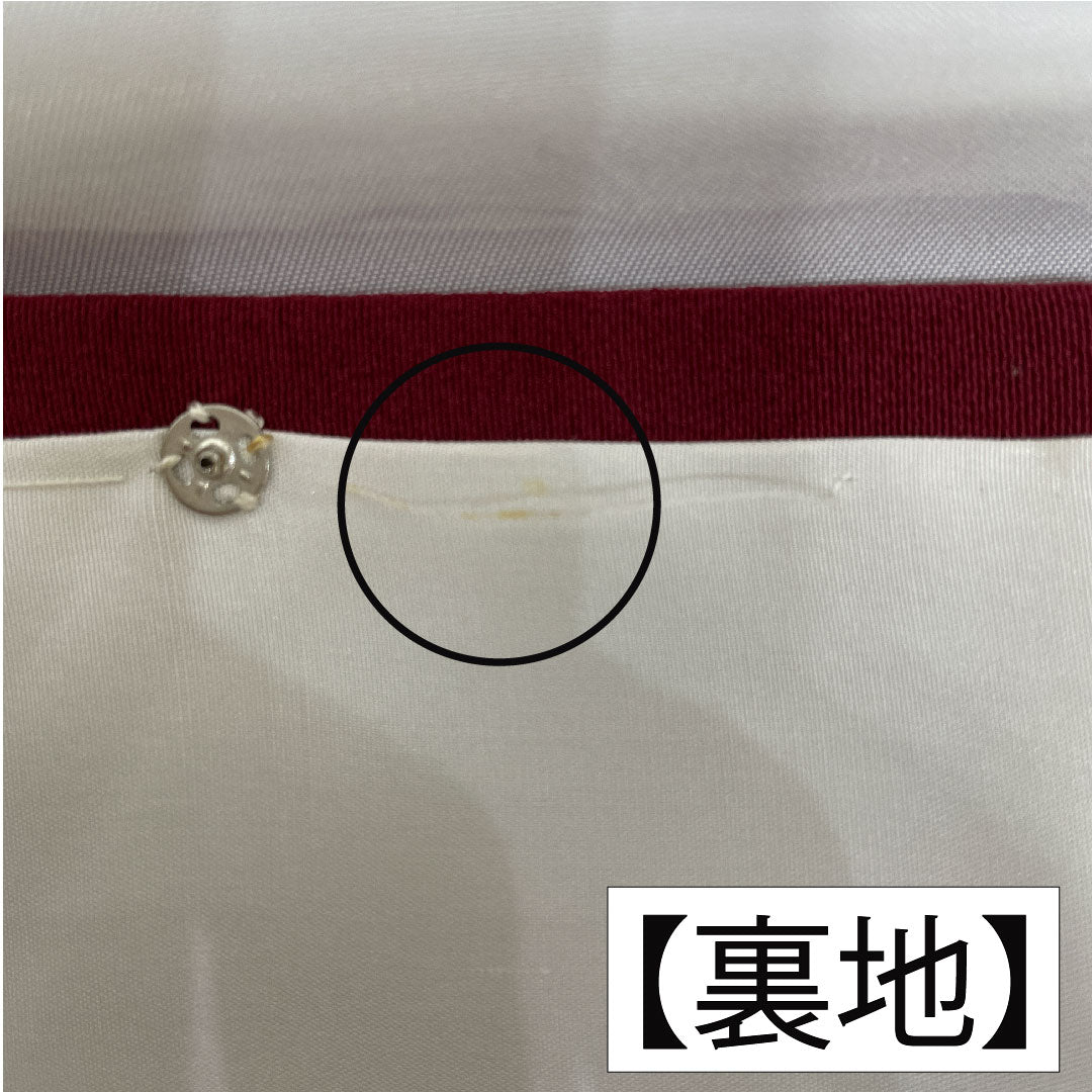 訪問着 正絹 袷 身丈163.5cm 裄丈64.5cm 臙脂色（えんじいろ） 辻ヶ花 Aランク 赤系 1112005823412