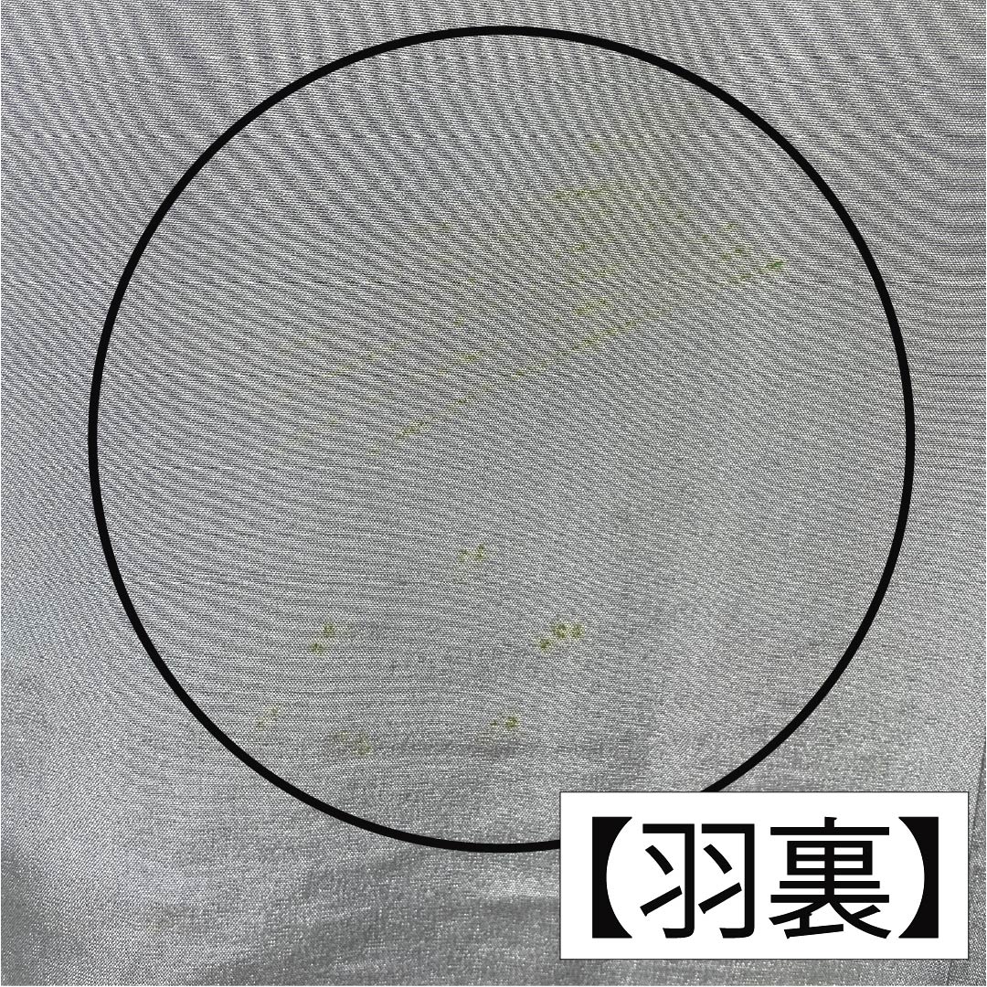 男物 正絹 Aランク 身丈91cm 裄丈70.5cm  藍鉄色（あいてついろ） ひげ紬 緑系 1119001123119