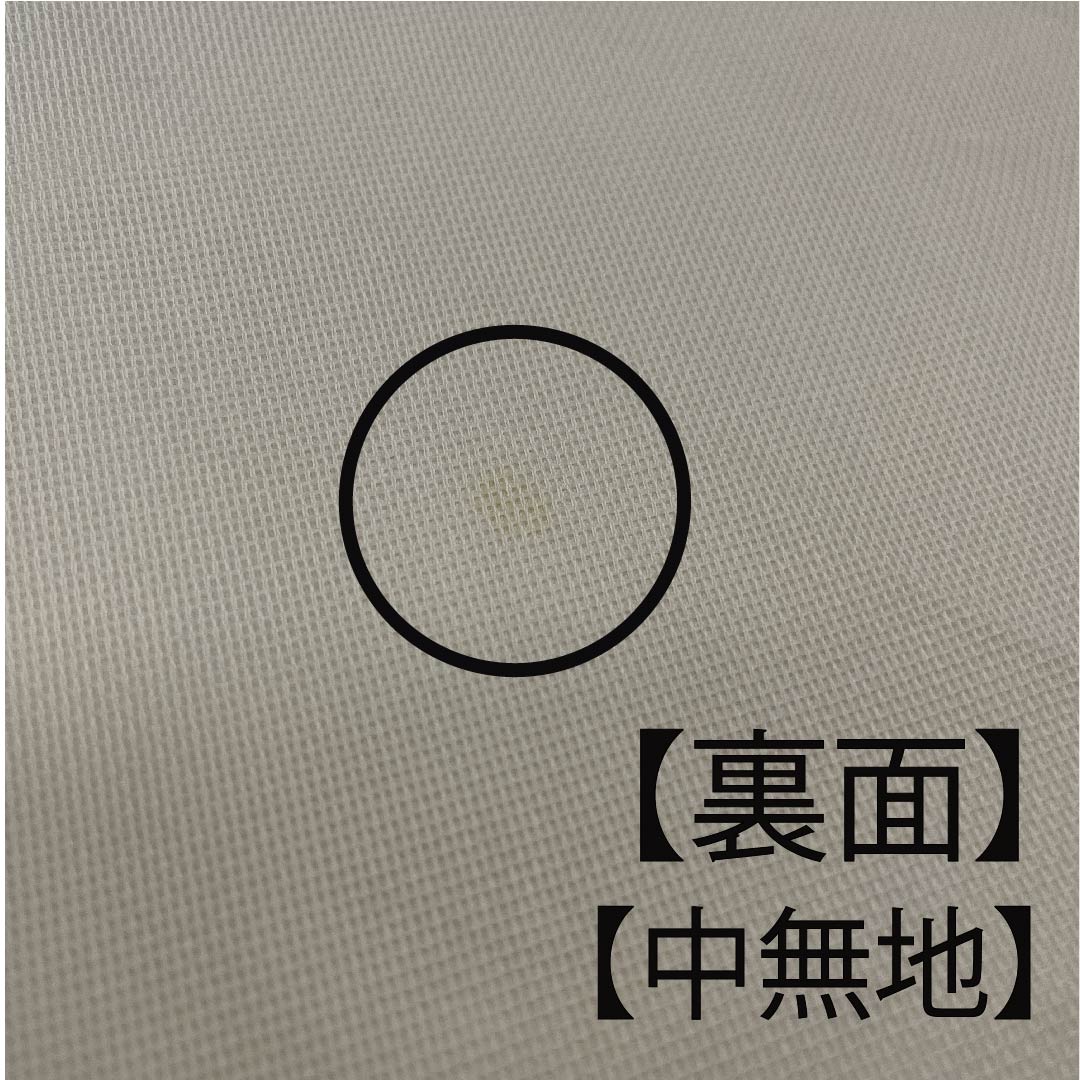 袋帯 生成り色（きなりいろ） 夏帯 桜 藤の花 夏物 帯丈422cm 正絹 Aランク 六通 フォーマル クリーム系 1123007673315