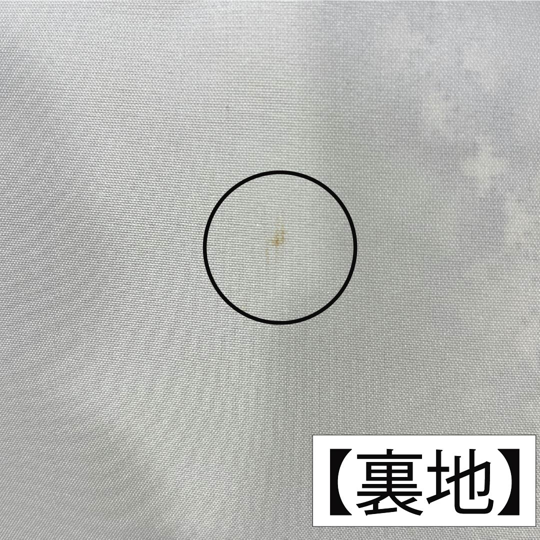 紬 正絹 Sランク 身丈169cm 裄丈66cm 白大島 恵大島紬織物 美術大島 袷 白系 1116005032511