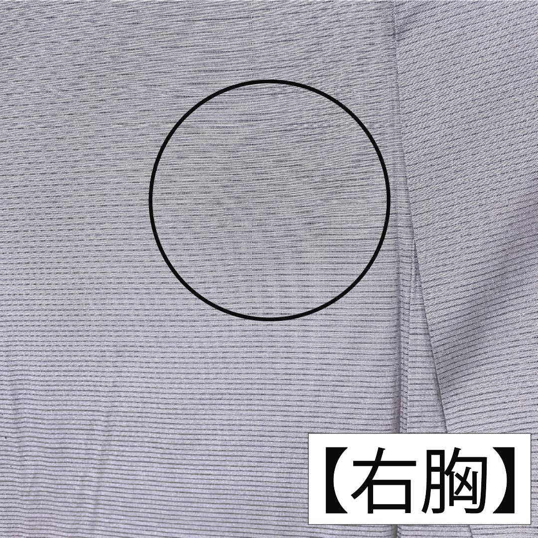 夏物 正絹 色無地 Aランク 身丈154.5cm 裄丈63cm 灰紫色（はいむらさきいろ） 丸に中陰剣花菱 一つ紋 絽 紫系 1132003713220