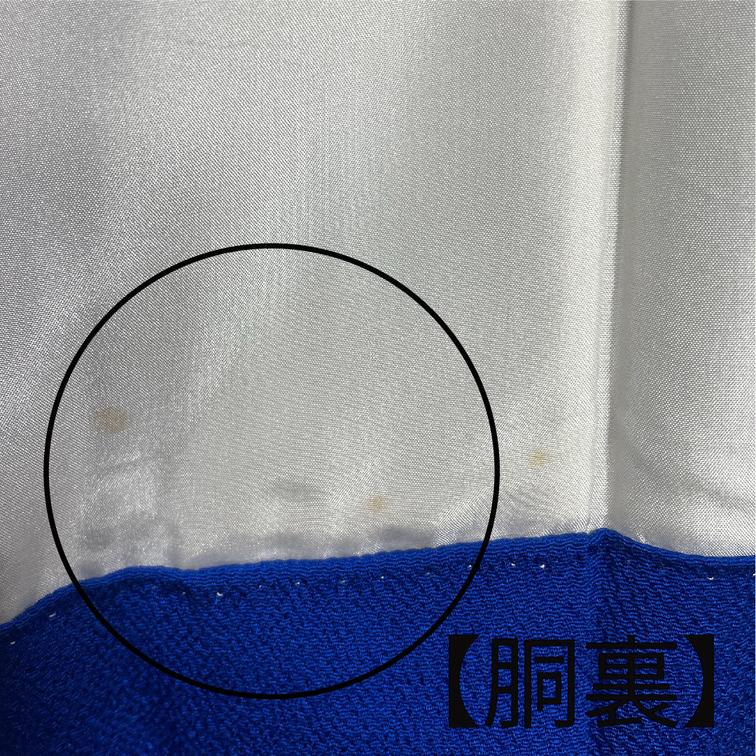 訪問着 袷 身丈163cm 裄丈68cm 瑠璃紺色 桜 菊 椿 正絹 Aランク 青系 1112001683417