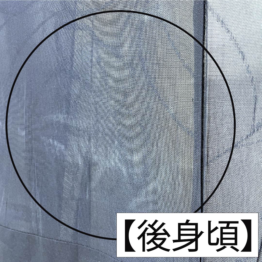 夏物 正絹 色無地 Bランク 身丈154.5cm 裄丈62.5cm 濃紺色（のうこんいろ） 草花模様 紗 紺系 1132004334218