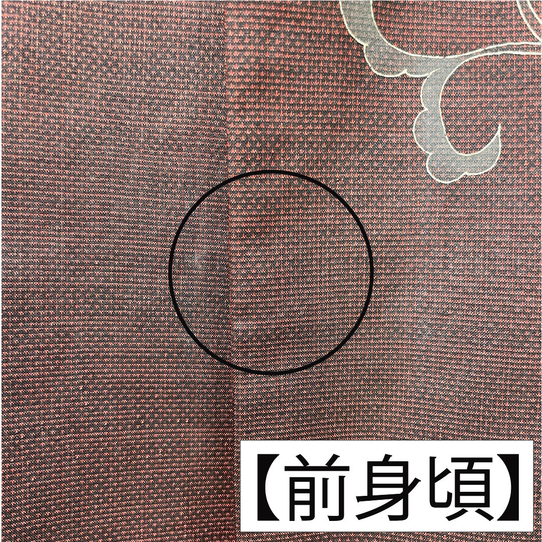 訪問着 正絹 袷 身丈158.5cm 裄丈65cm 生臙脂色（しょうえんじいろ） 大島紬地 紬地 蘇州刺繡 草花模様 Aランク 赤系 1112005493312