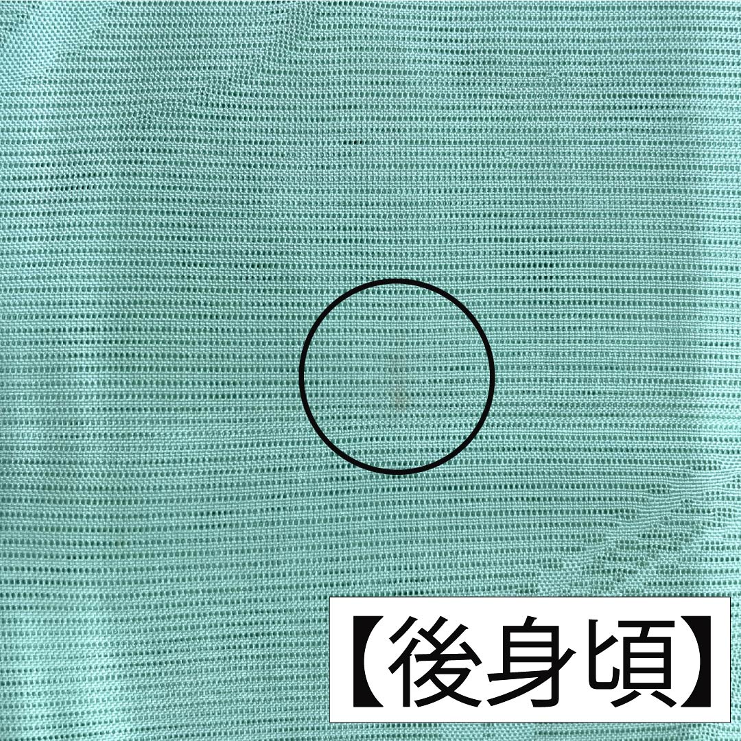 夏物 正絹 色無地 Aランク 身丈155.5cm 裄丈64cm 薄緑色（うすみどりいろ） 素無地 一つ紋 上り藤に一文字 絽 緑系 1132004743319