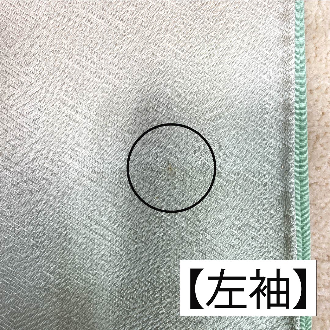 Visiting Kimono (Homongi) - Pure Silk, Grade A, Lined, Length 159cm, Sleeve Length 63.5cm, Walnut Color, Suzhou Embroidery, Tsukesage, Imperial Carriage Design, Beige, Product Number: 1112006663325