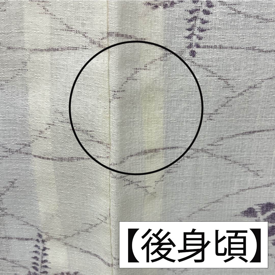 夏物 麻 紬 身丈165cm 裄丈69cm 乳白色（にゅうはくしょく） 小千谷縮 草花模様 紗 Aランク 白系 1132002683511