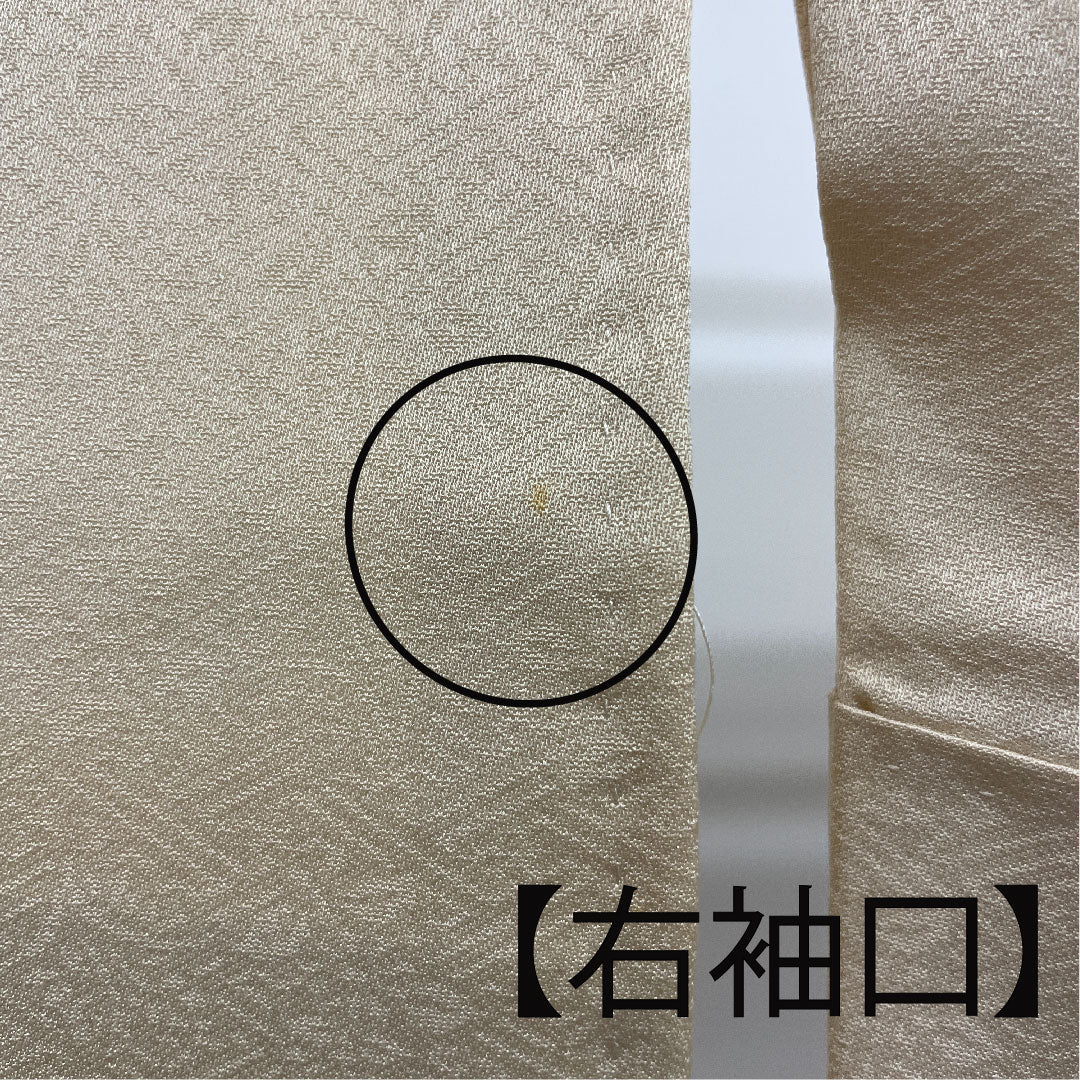 Colored Tomesode, Length 157cm, Sleeve Length 64cm, Lined, Tokyo Yuzen, Pure Silk, B Rank, Three Crests, Cream Color, 1111000284315