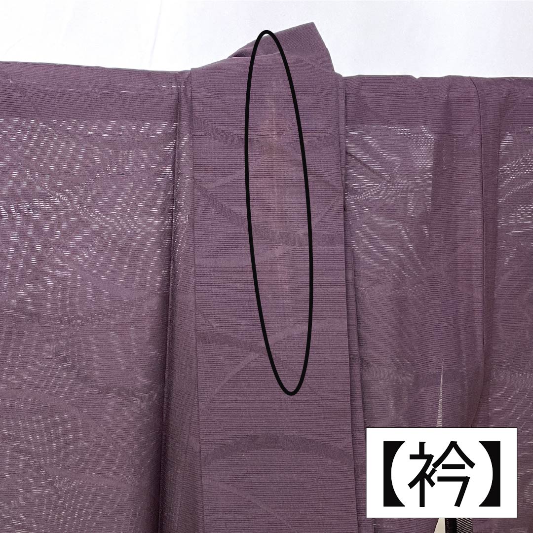 夏物 ポリエステル 色無地 Aランク 身丈158.5cm 裄丈65.5cm 紫烏色（しうしょく） 露芝 絽 紫系 1132004793320