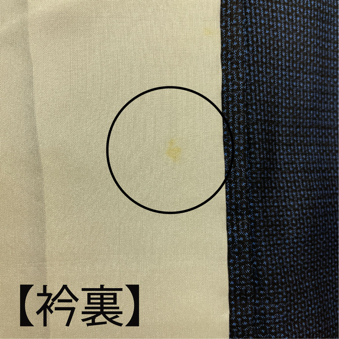 大島紬 身丈158cm 裄丈63cm 100亀甲 正絹 Bランク 袷 紺系 1116001564318