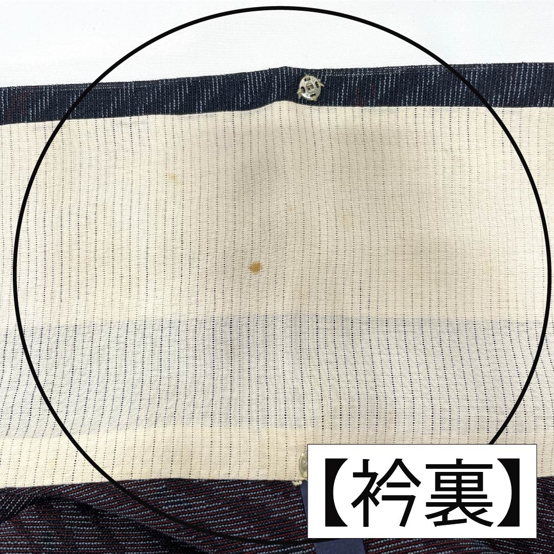 夏物 正絹 紬 Aランク 身丈156cm 裄丈67cm 抽象模様 紗 マルチカラー 1132004323328