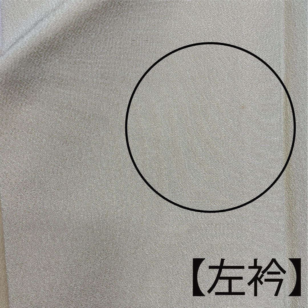 Homongi, lined, length 159cm, sleeve length 62.5cm, Torinoko color, Kyoto Bingata, floral pattern, pure silk, A rank, cream color, 1112001943315