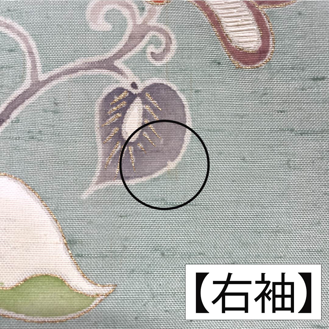 訪問着 正絹 Aランク 袷 身丈155cm 裄丈61cm 薄緑色（うすみどりいろ） 牛首紬 一つ紋 中陰蔦 草花 緑系 1112007533319