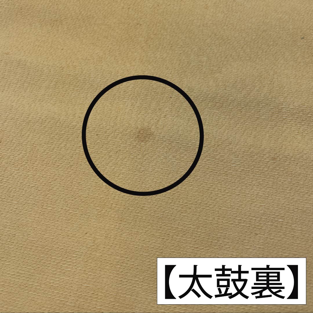 名古屋帯 正絹 Bランク 淡黄色色（たんこうしょくいろ） 型染 菖蒲 帯丈350cm ポイント柄 カジュアル 黄系 1124009704323 名古屋仕立て