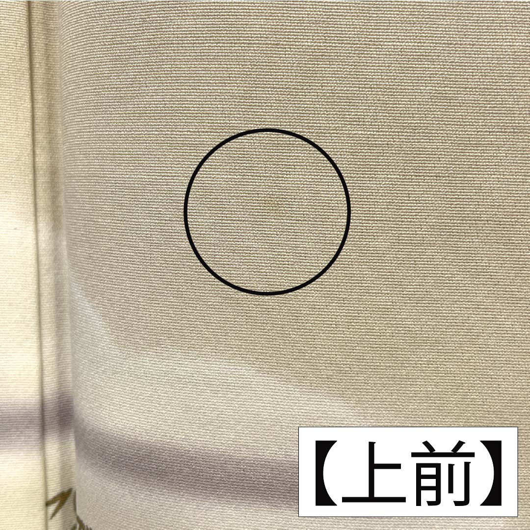 訪問着 正絹 Aランク 袷 身丈165cm 裄丈64.5cm 東京白茶色（とうきょうしらちゃいろ） 霞 松 竹 パールトーン加工 ベージュ系 1112006883525