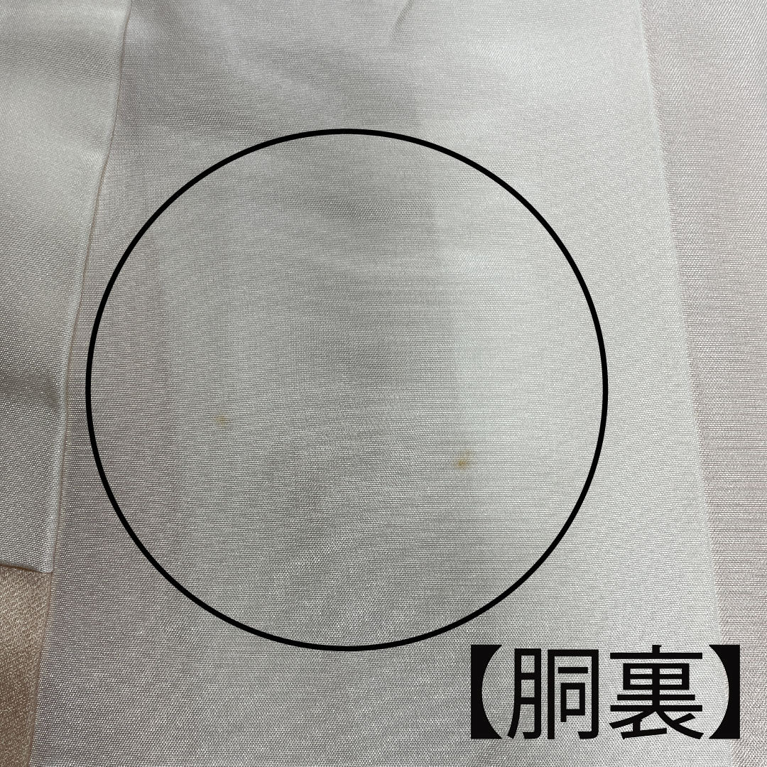 色留袖 身丈161.5cm 裄丈65.5cm 袷 和田光正 金彩友禅 薄肉色 時代風景模様 正絹 Sランク 一つ紋 クリーム系 1111000662415