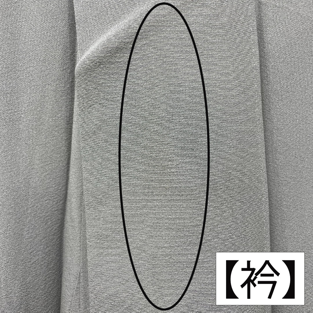 Colored Tomesode, pure silk, length 157cm, sleeve length 63.5cm, lined, tin color, landscape pattern, three crests, ivy, artist's work, Hida Takayama, pearl tone finish, A rank, gray, 1111001363322