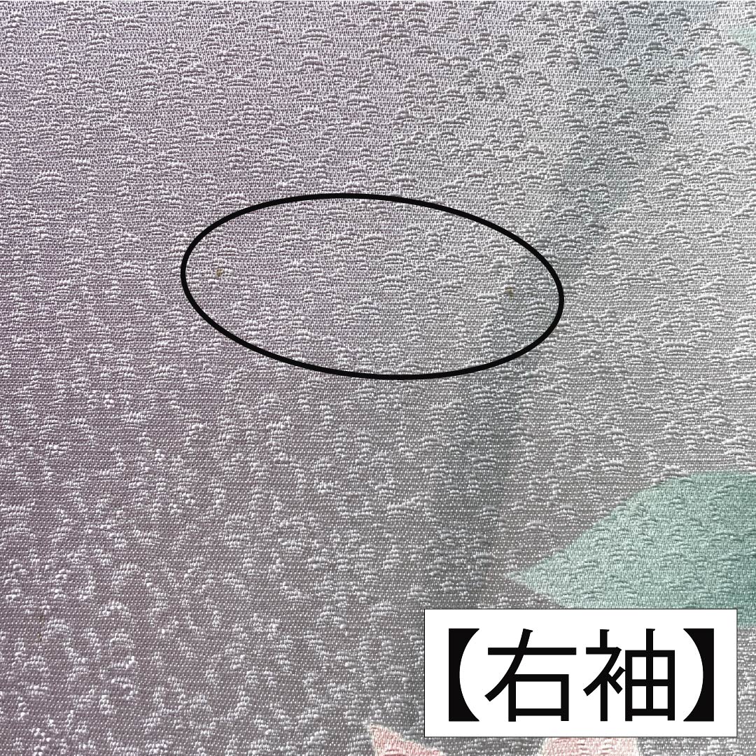 訪問着 正絹 Bランク 袷 身丈165.5cm 裄丈67.5cm 淡紅藤色（うすべにふじいろ） 付下げ 草花 紫系 1112007404520