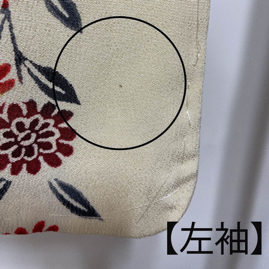 Homongi, lined, length 159cm, sleeve length 62.5cm, Torinoko color, Kyoto Bingata, floral pattern, pure silk, A rank, cream color, 1112001943315